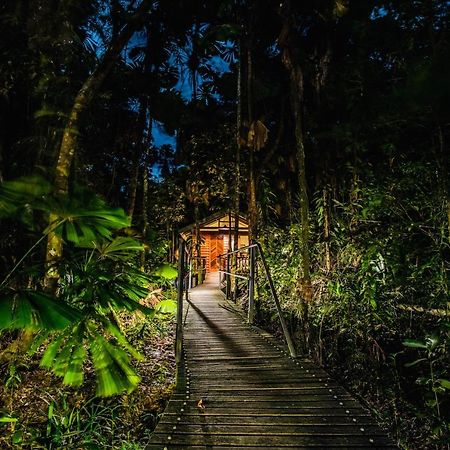 Daintree Wilderness Lodge Ngoại thất bức ảnh