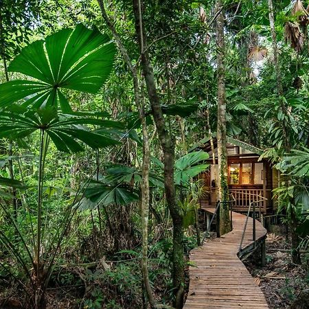 Daintree Wilderness Lodge Ngoại thất bức ảnh