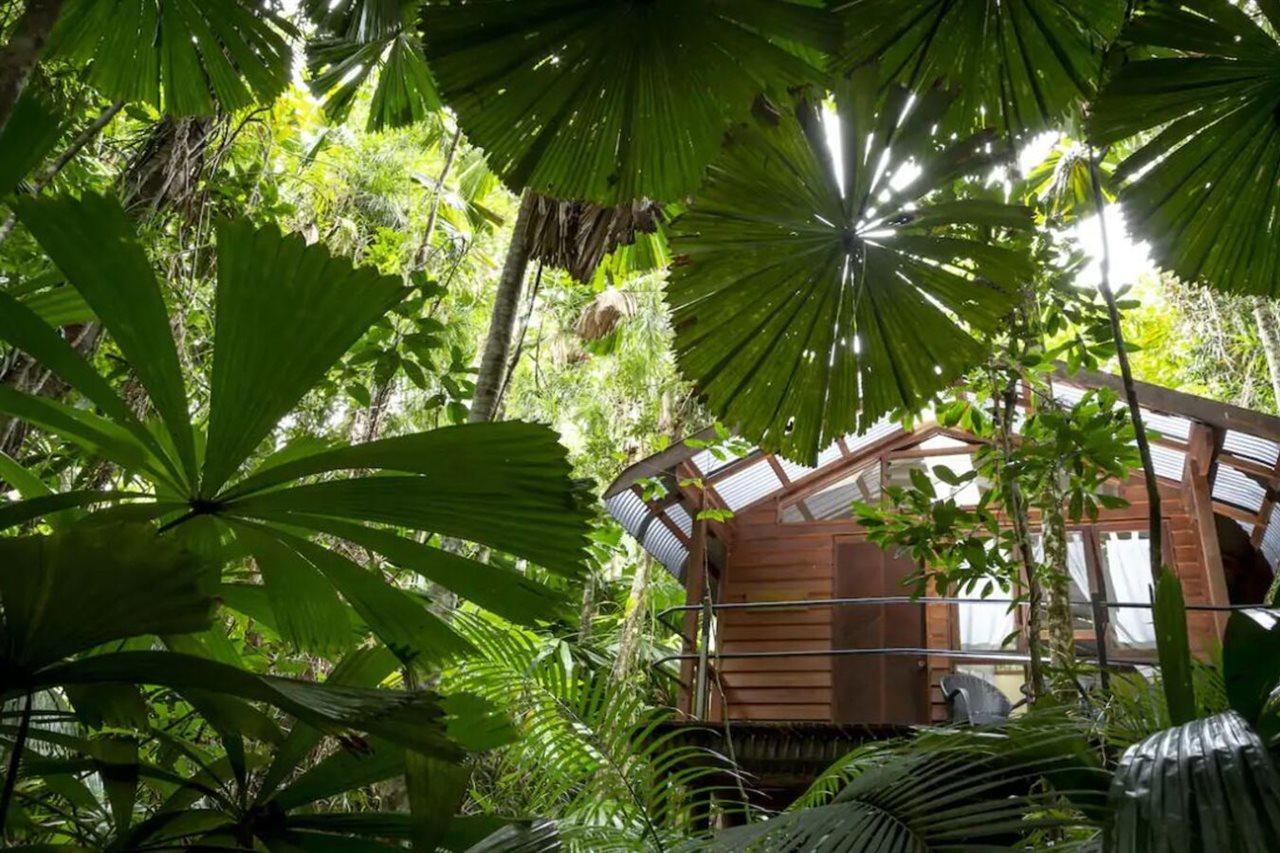 Daintree Wilderness Lodge Ngoại thất bức ảnh