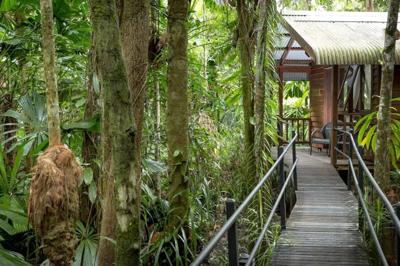 Daintree Wilderness Lodge Ngoại thất bức ảnh