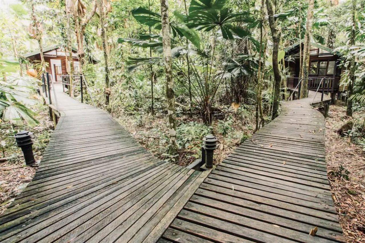 Daintree Wilderness Lodge Ngoại thất bức ảnh