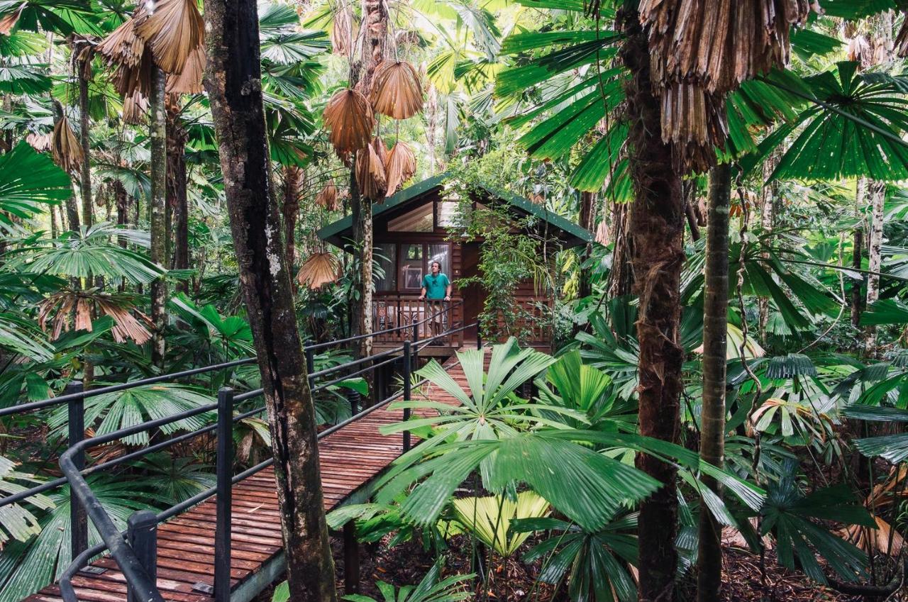 Daintree Wilderness Lodge Ngoại thất bức ảnh