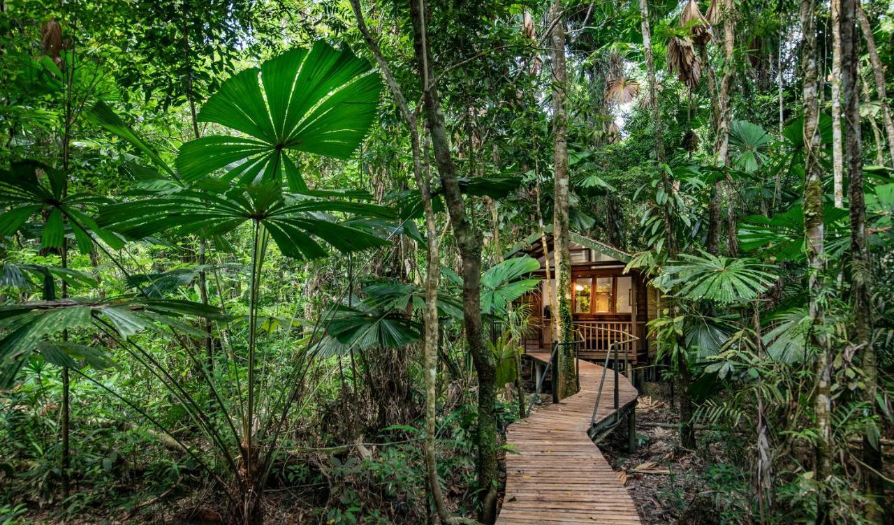 Daintree Wilderness Lodge Ngoại thất bức ảnh