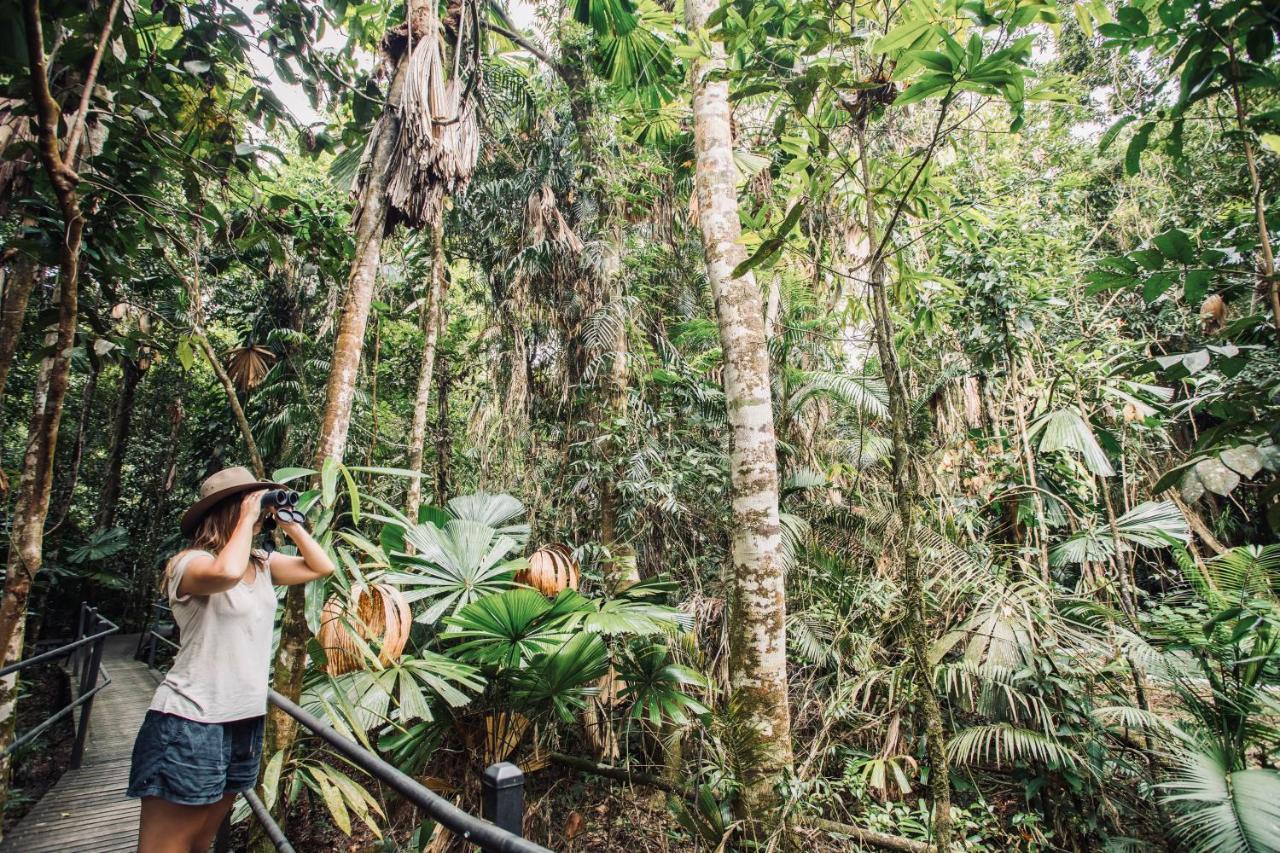 Daintree Wilderness Lodge Ngoại thất bức ảnh