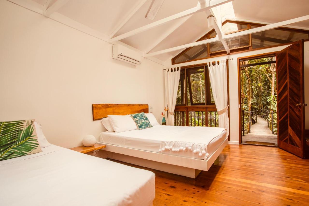 Daintree Wilderness Lodge Ngoại thất bức ảnh
