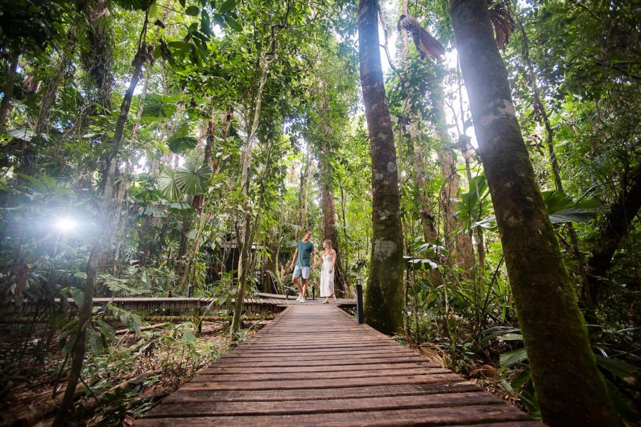 Daintree Wilderness Lodge Ngoại thất bức ảnh