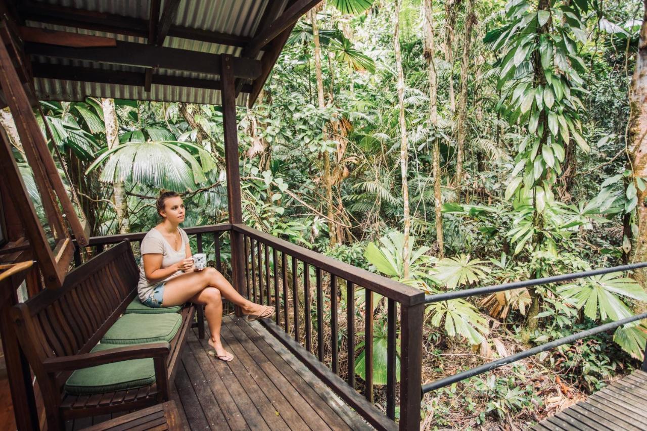 Daintree Wilderness Lodge Ngoại thất bức ảnh