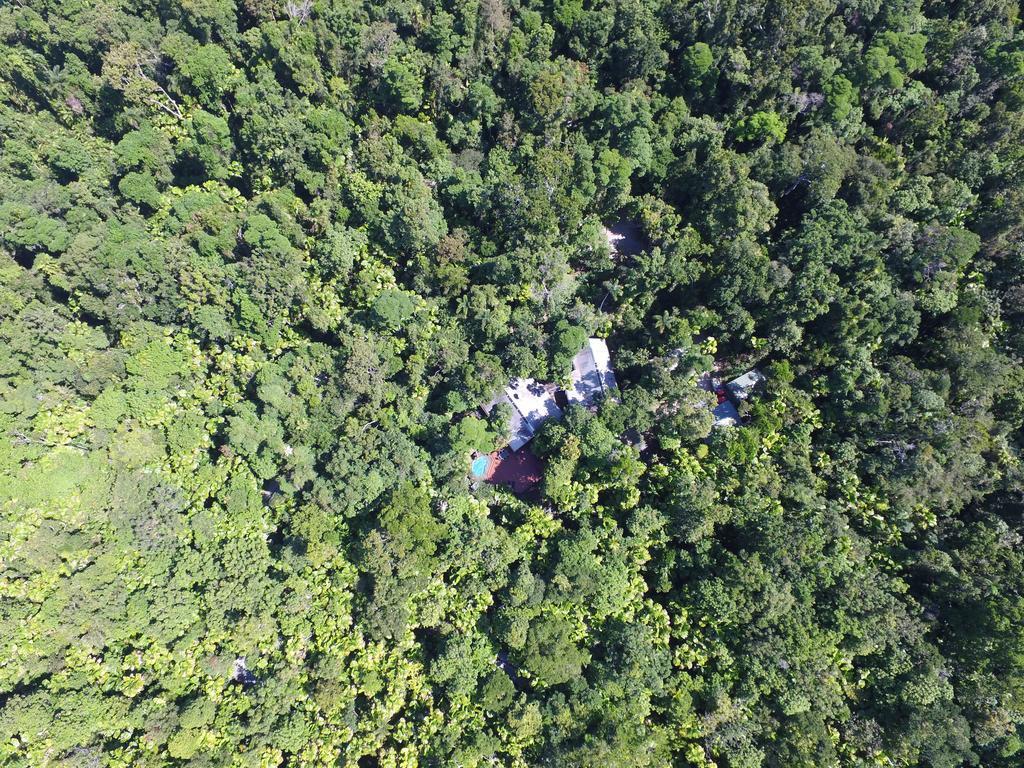 Daintree Wilderness Lodge Ngoại thất bức ảnh