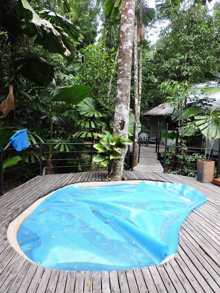 Daintree Wilderness Lodge Ngoại thất bức ảnh