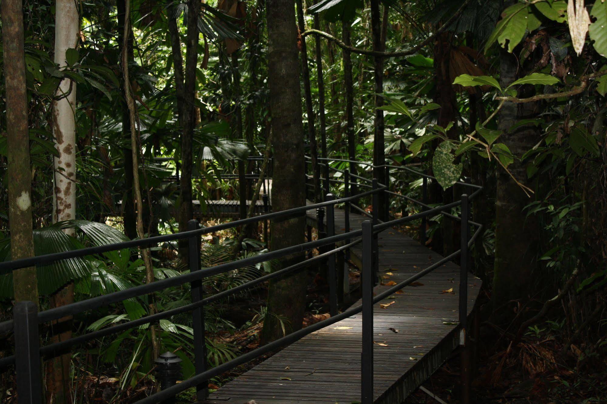 Daintree Wilderness Lodge Ngoại thất bức ảnh