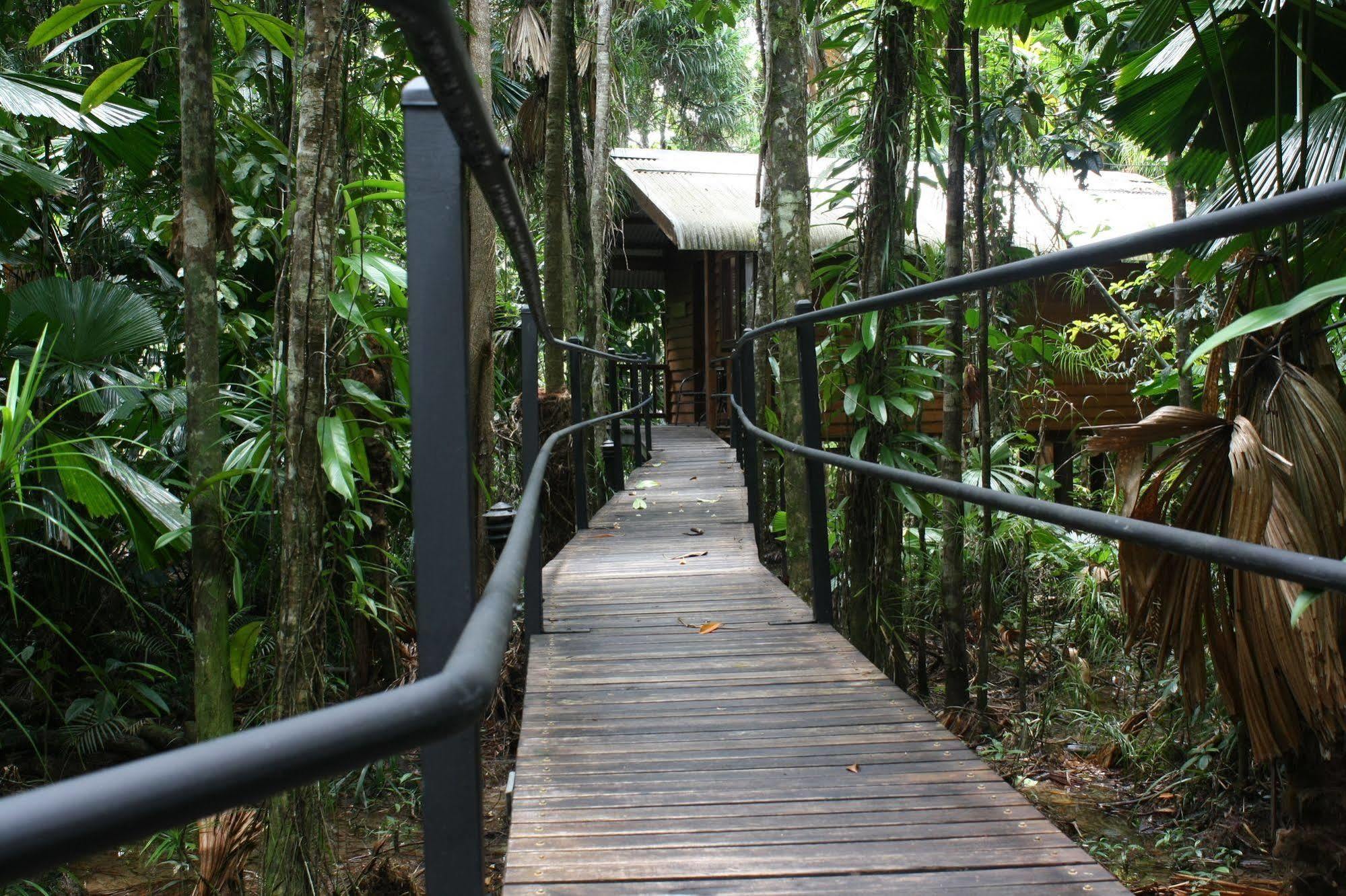 Daintree Wilderness Lodge Ngoại thất bức ảnh