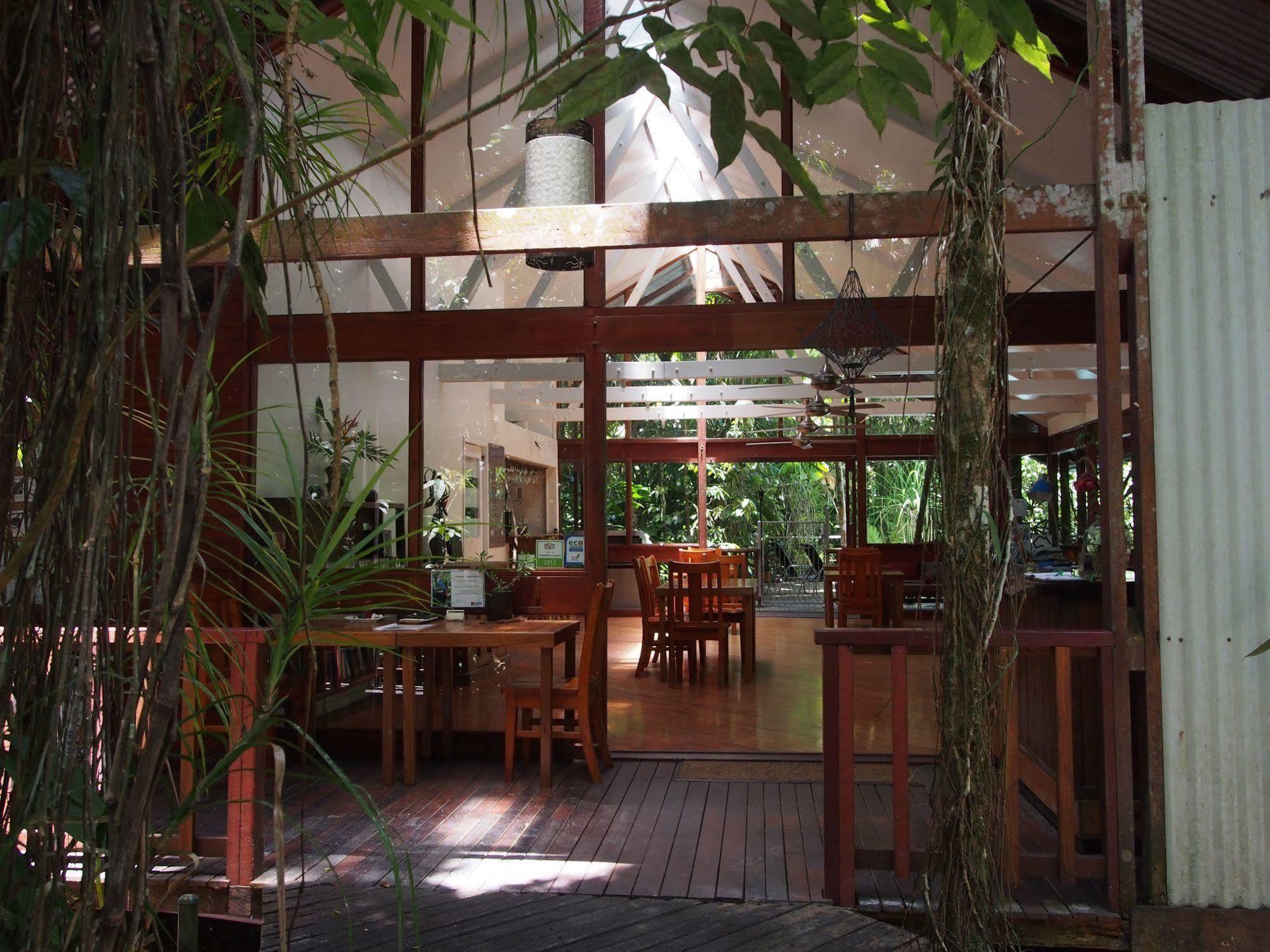 Daintree Wilderness Lodge Ngoại thất bức ảnh